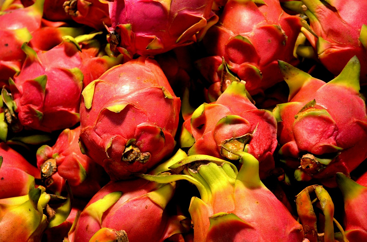 越南火龙果当地售价大跳水 中国出口水果成新宠 | 国际果蔬报道