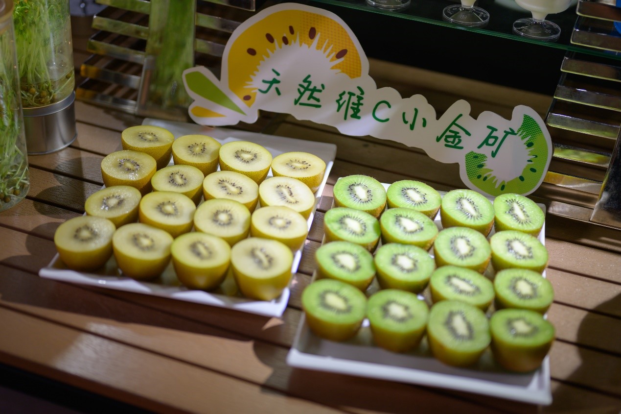 首批佳沛奇异果即将发往中国 本季金果产量有望超过绿果 | 国际果蔬报道